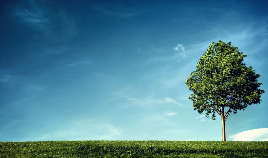 583653c5444eb.jpg 9049119_101116391149_2.jpg