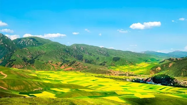 5a961ce0bc963.jpg 55.webp.jpg