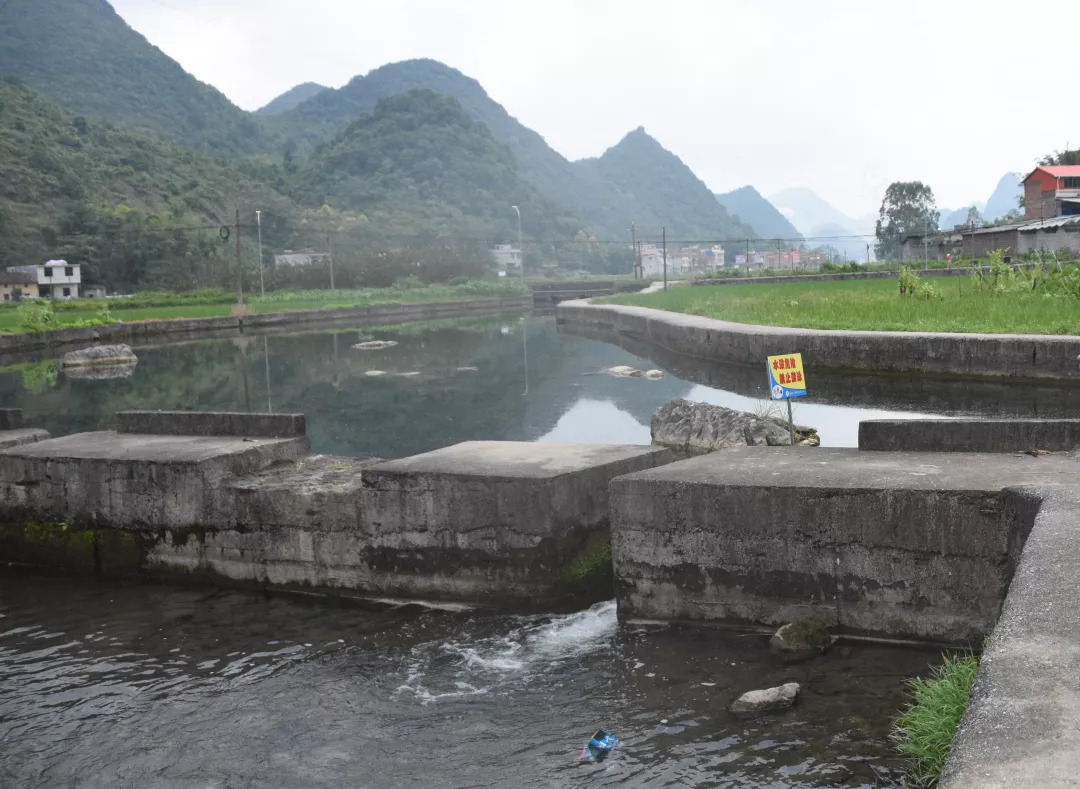 5b7f81858a877.jpg 7.jpg