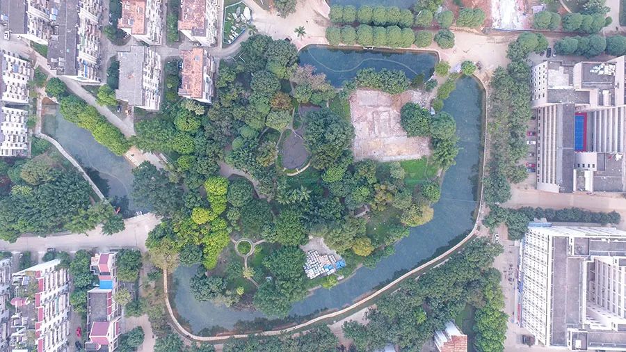 5c1c5ec56a5f9.jpg 5.jpg