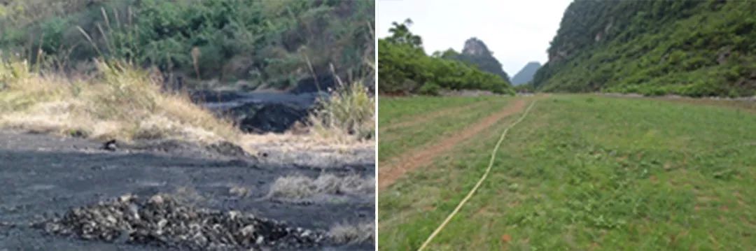 5c1caf91113d7.jpg 3.jpg